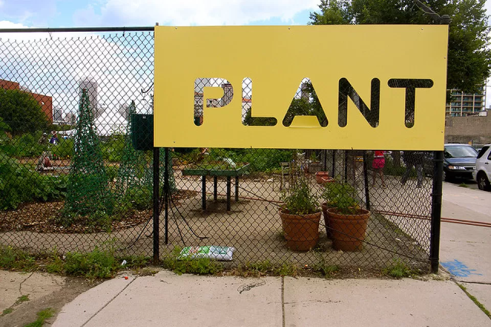 Chicago Community Garden